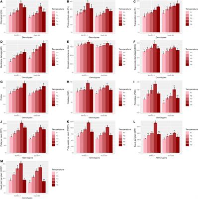 Optimization of soybean physiochemical, agronomic, and genetic responses under varying regimes of day and night temperatures